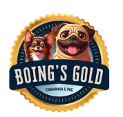 Boing&#039;s Gold